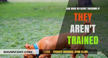 Untrained Dogs and Scent Tracking: Natural Instincts or Learned Skill?