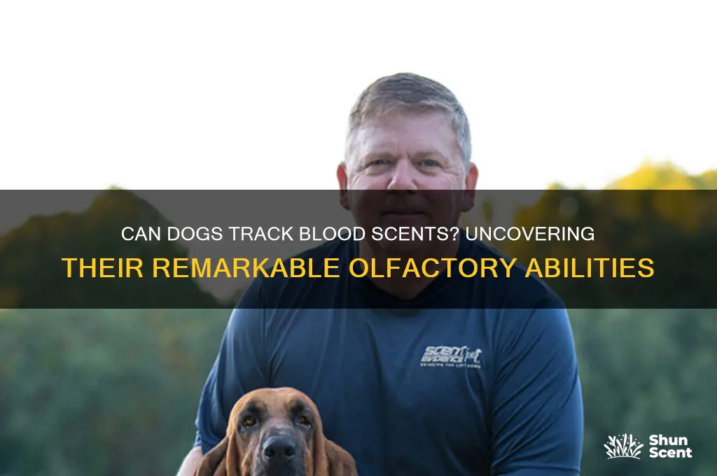 can dogs follow the scent of blood