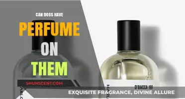Should Dogs Wear Perfume?