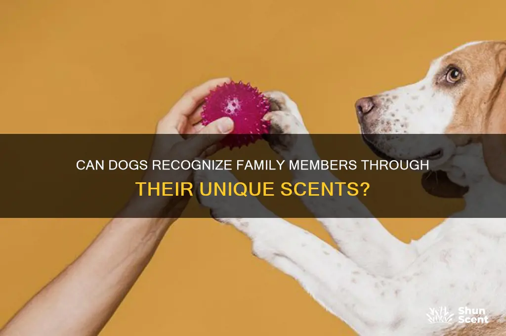 can dogs identify relatives by scent