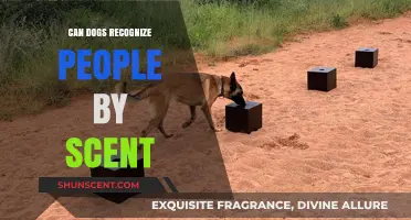 Can Dogs Identify Humans by Smell? Unlocking Their Scent Recognition Abilities