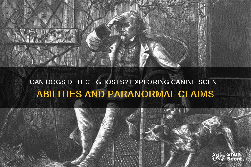 can dogs scent ghost