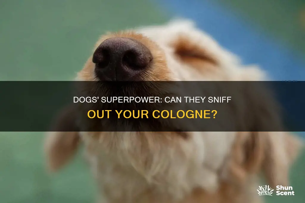 can dogs smell cologne