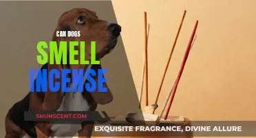 Dogs and Incense: Can They Smell It?