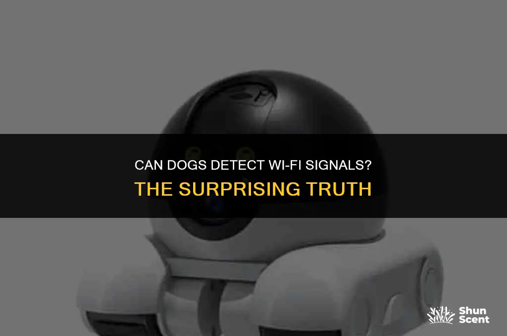 can dogs smell wifi
