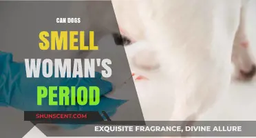 Can Dogs Detect Menstruation? The Science Behind the Myth