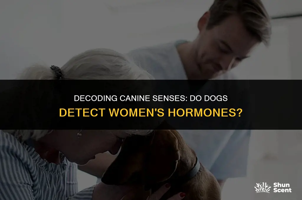 can dogs smell womens hormones