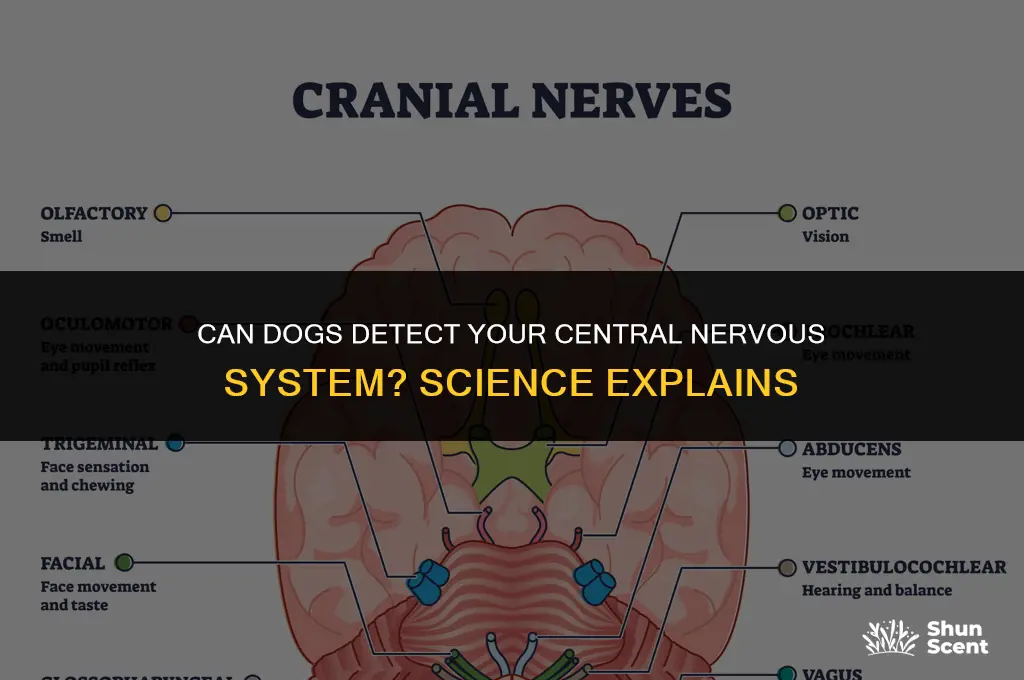 can dogs smell your central nervous system
