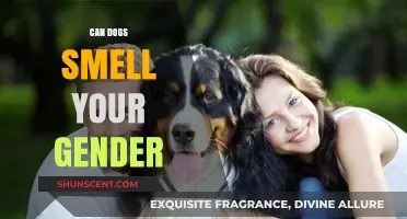 Can Dogs Detect Gender? Unraveling the Canine Sense of Smell
