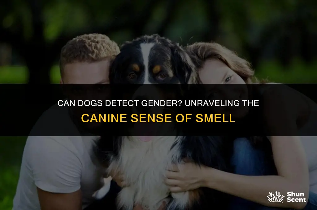 can dogs smell your gender