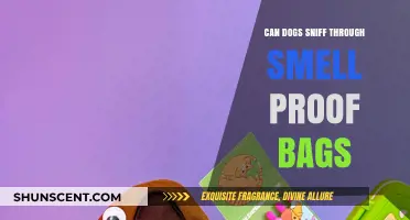 Canine Detectives: The Truth About Dogs and Smell-Proof Bags