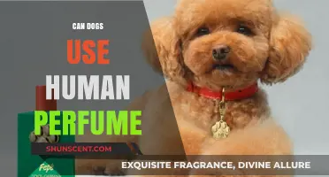 Dogs and Human Perfume: Safe or Not?