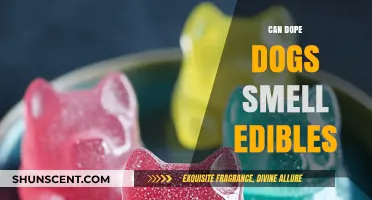 Can Dope Dogs Sniff Out Edibles? A Comprehensive Guide