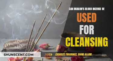 Dragon's Blood Incense: Cleansing Power of Ancient Resin