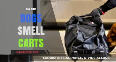 Can Drug Dogs Sniff Out Carts? The Surprising Truth