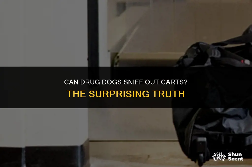 can drig dogs smell carts