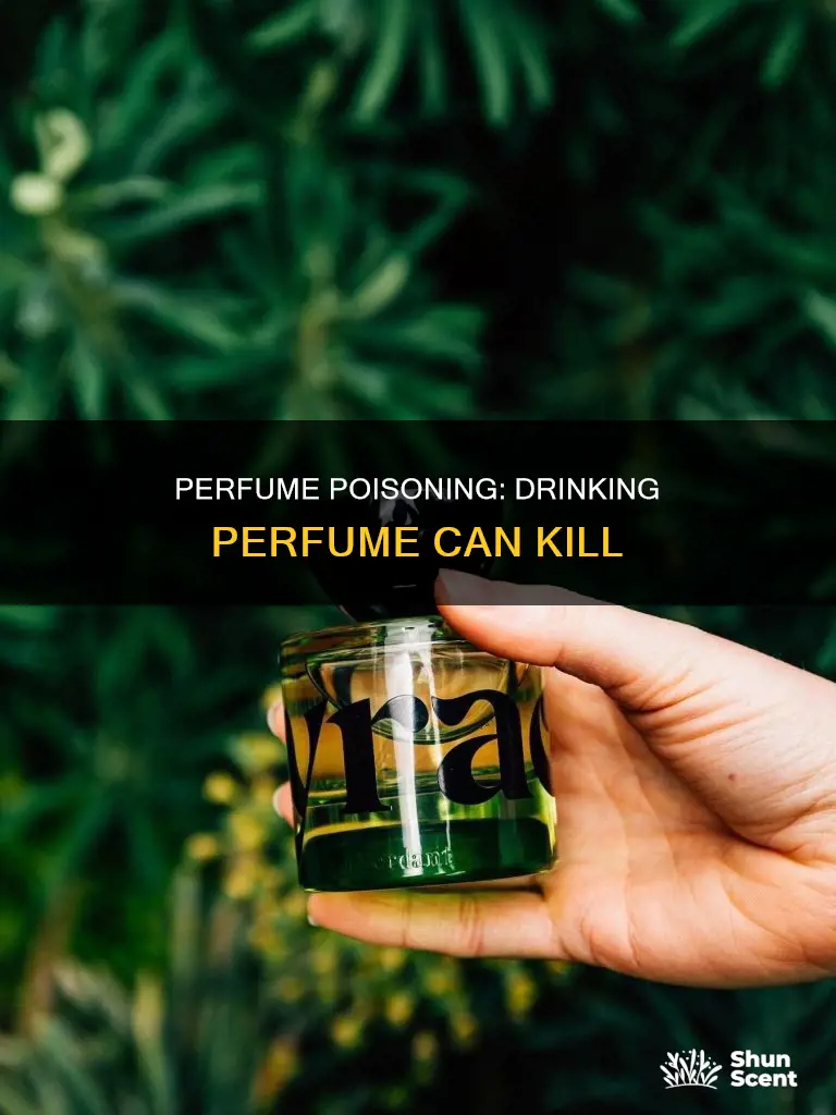 can drinking perfume kill