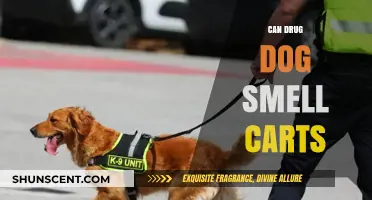 Sniffing Out the Truth: Can Drug Dogs Detect Cart Narcotics?