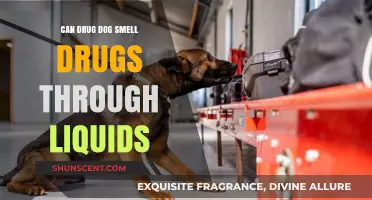 Can Drug Dogs Sniff Out Narcotics Through Liquids?