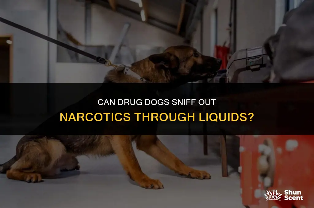 can drug dog smell drugs through liquids
