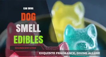 Can Drug Dogs Sniff Out Edibles? The Truth Revealed