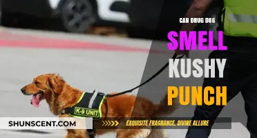 Can Drug Dogs Detect Kushy Punch? A Comprehensive Guide