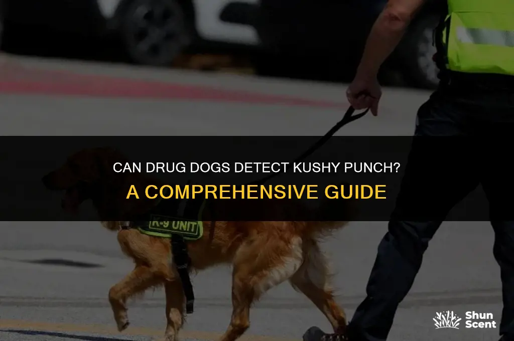 can drug dog smell kushy punch