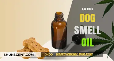 Can Drug Dogs Detect Oil? Unveiling the Science Behind Their Skills