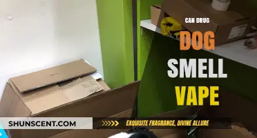 Can Drug Dogs Detect Vapes? The Truth Behind Their Sniffing Abilities