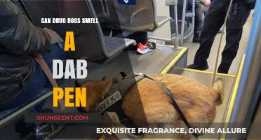 Can Drug Dogs Detect Dab Pens? The Science Behind It