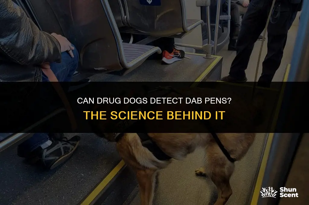 can drug dogs smell a dab pen