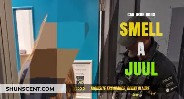 Can Drug Dogs Detect Juul Vapes? The Science Behind It