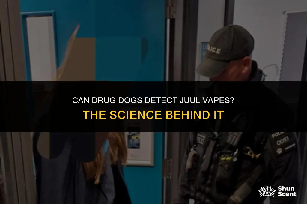 can drug dogs smell a juul