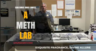 Unleashing the Truth: Can Drug Dogs Detect Meth Labs?
