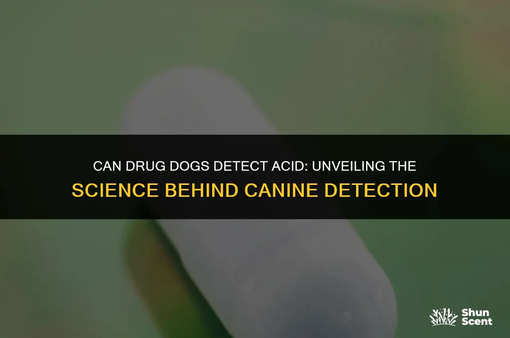 can drug dogs smell aci