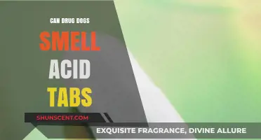 Can Drug Dogs Detect Acid Tabs? A Comprehensive Guide