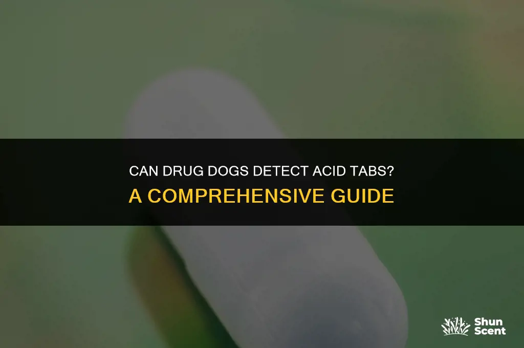 can drug dogs smell acid tabs