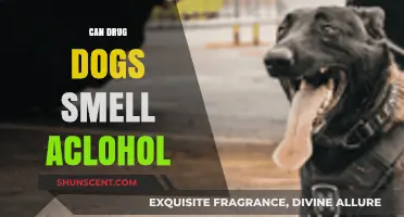 Can Drug Dogs Detect Alcohol? Exploring Their Scent Capabilities