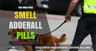 Sniffing Out Stimulants: Can Drug Dogs Detect Adderall Pills?