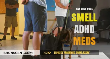 Exploring the Scent: Can Drug Dogs Detect ADHD Medications?