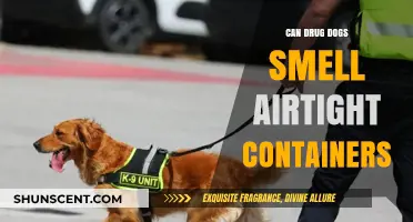 Can Drug Dogs Detect Substances in Airtight Containers?