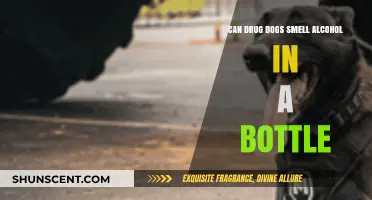 Can Drug Dogs Detect Alcohol in Sealed Bottles?