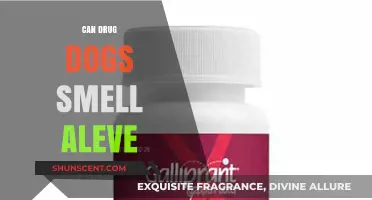 Can Drug Dogs Detect Aleve? Exploring the Limits of Canine Scent Detection