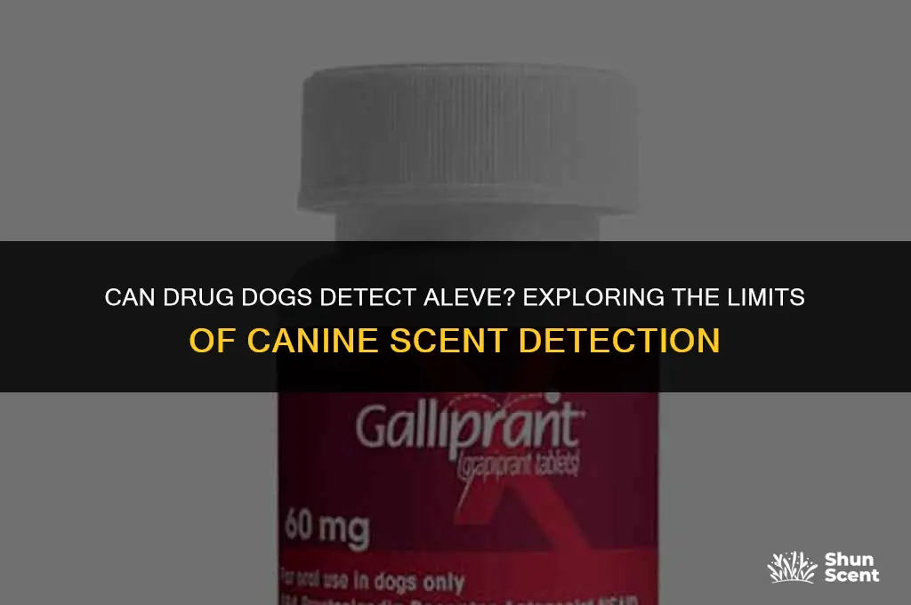can drug dogs smell aleve