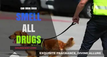 Sniffing Out the Truth: Can Drug Dogs Detect All Substances?