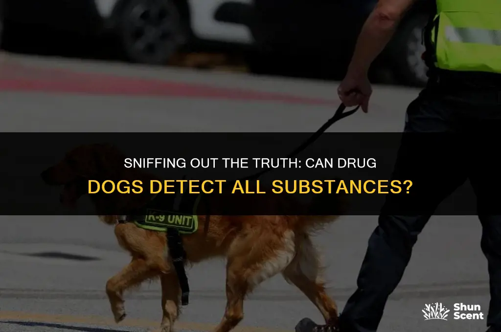 can drug dogs smell all drugs