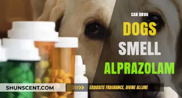 Can Drug Dogs Detect Alprazolam? Unveiling the Truth