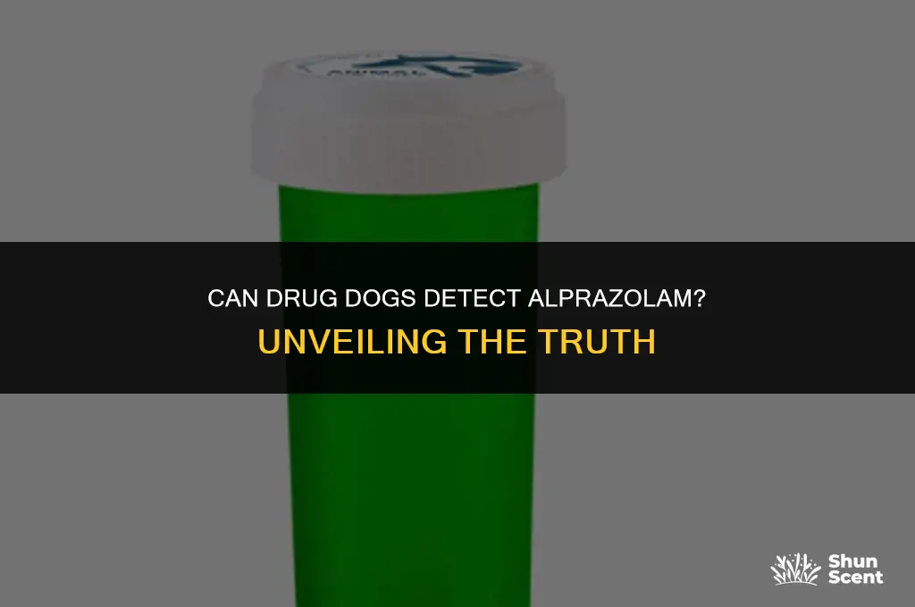 can drug dogs smell alprazolam
