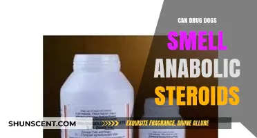 Sniffing Out Performance Enhancers: Can Drug Dogs Detect Anabolic Steroids?