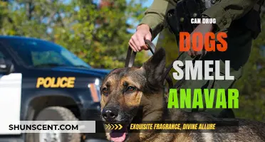 Sniffing Out the Truth: Can Drug Dogs Detect Anavar?